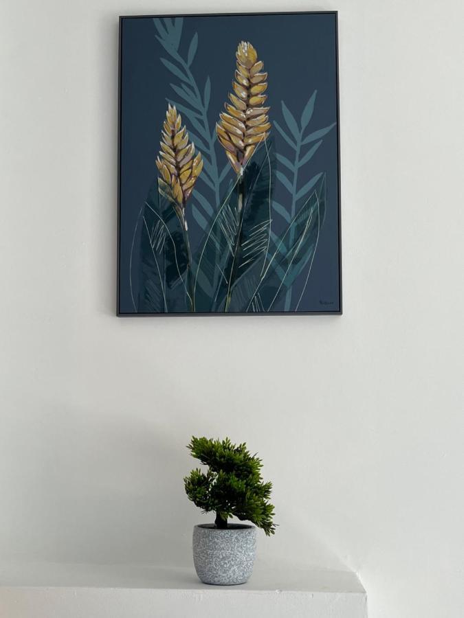 Bella Ripley Apartment ริปลีย์ ภายนอก รูปภาพ